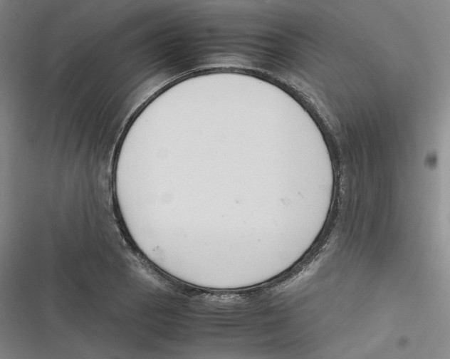 X0000116621129201001081226