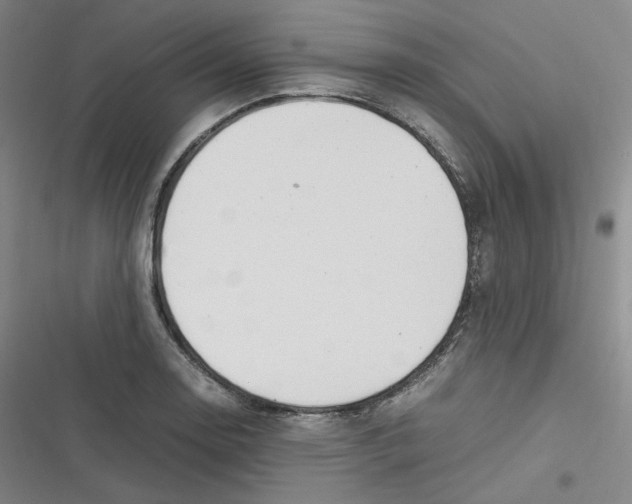 X0000116621130201001081226