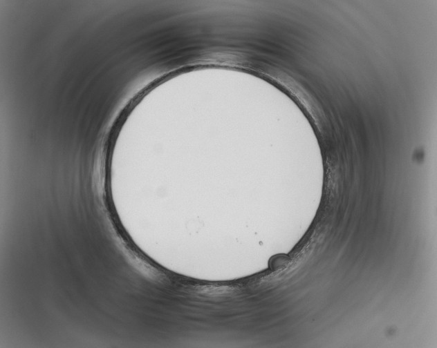 X0000116621131201001081226