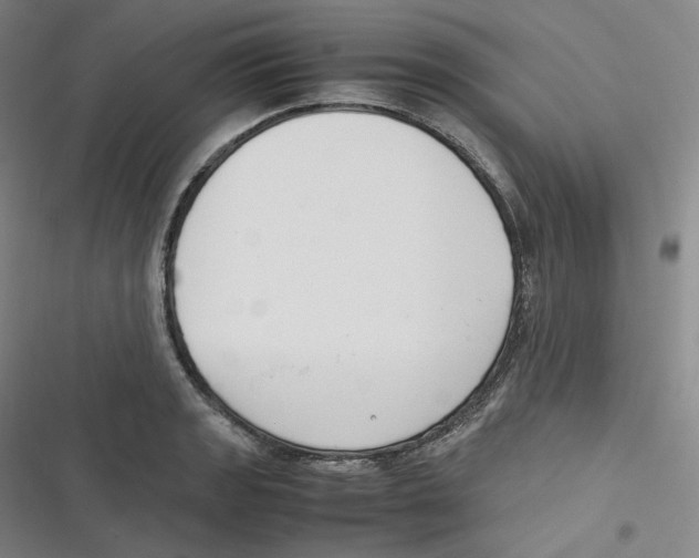 X0000116621133201001081226