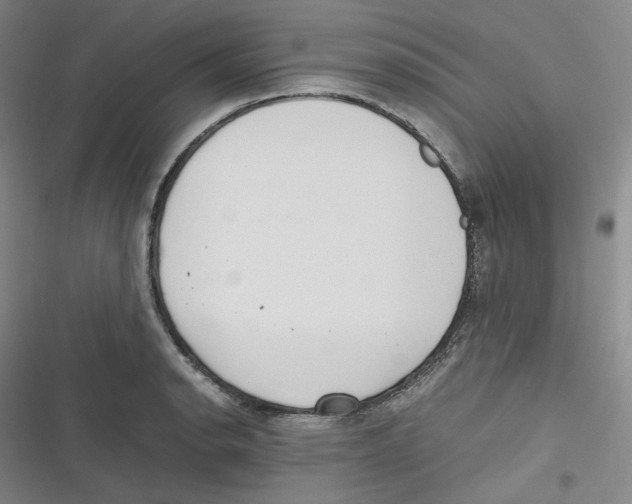 X0000116621134201001081226