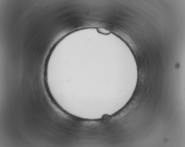 X0000116621135201001081226