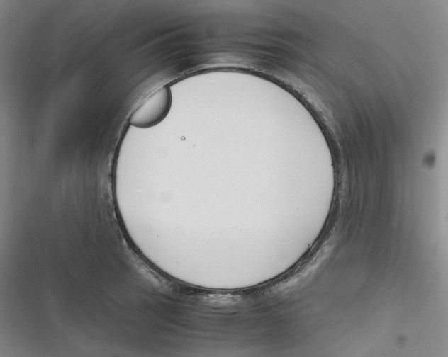 X0000116621137201001081226