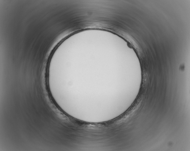 X0000116621138201001081226