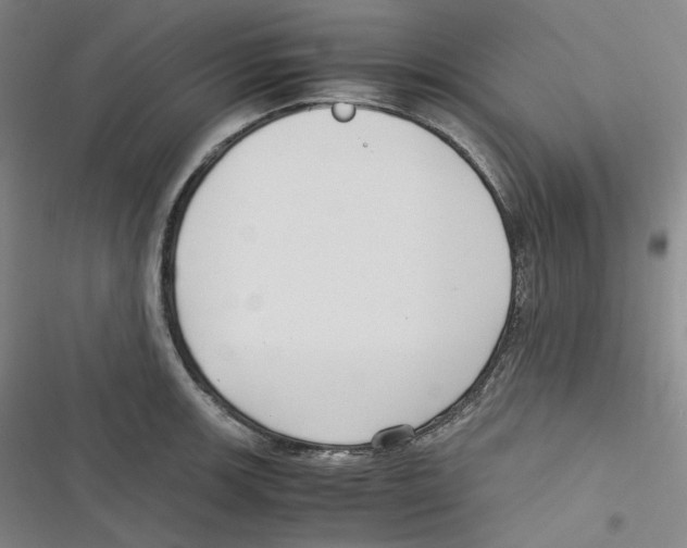 X0000116621139201001081226