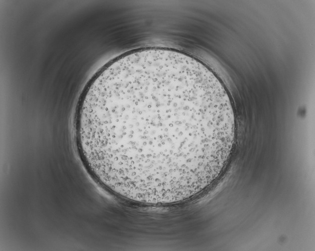 X0000116621141201001081226