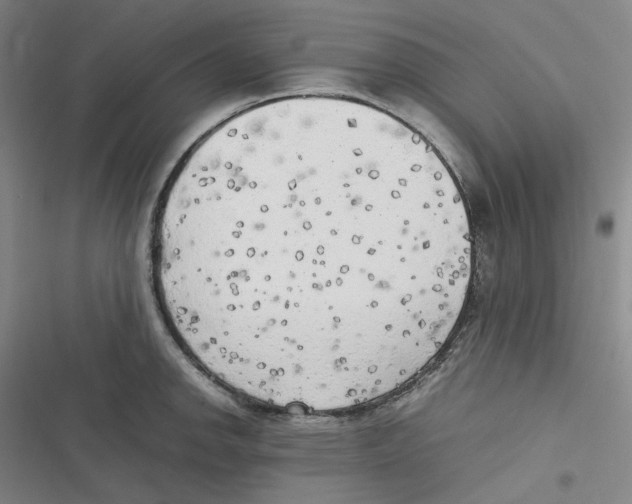 X0000116621142201001081226