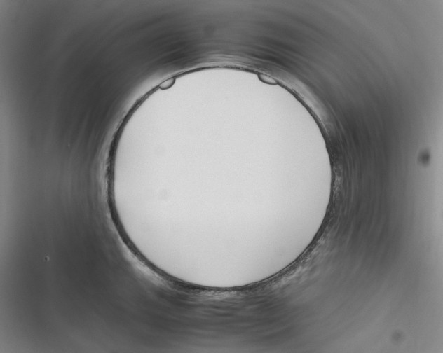 X0000116621143201001081226