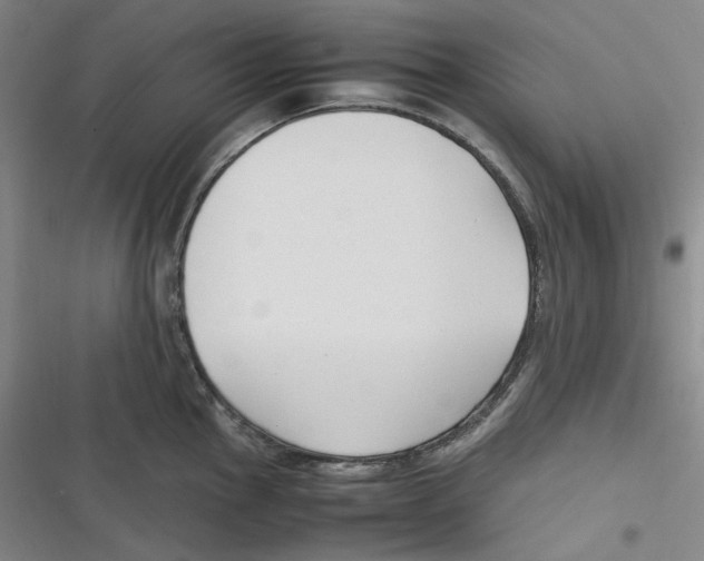 X0000116621145201001081226