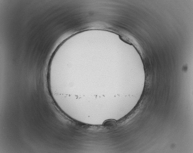 X0000116621146201001081226