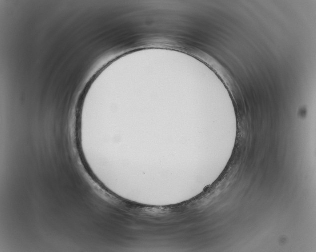 X0000116621147201001081226