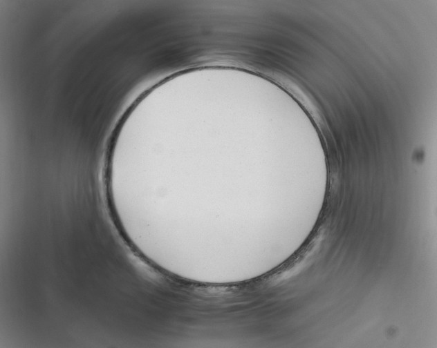 X0000116621149201001081226