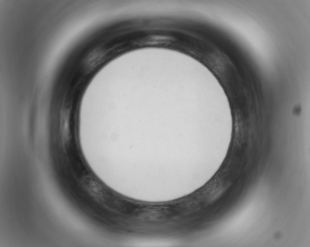 X0000116621150201001081226