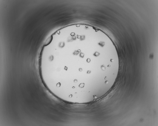 X0000116621151201001081226