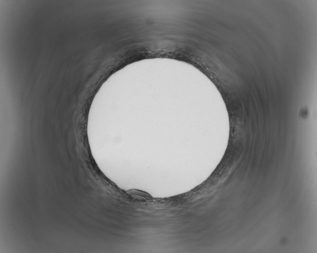 X0000116621153201001081226