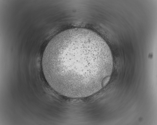 X0000116621154201001081226