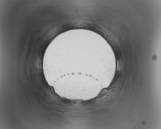 X0000116621155201001081226