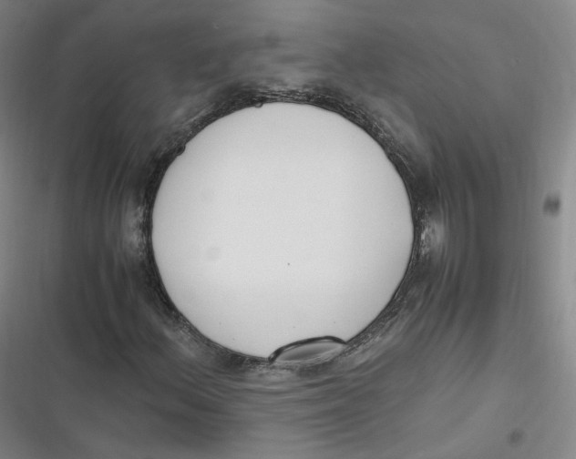 X0000116621156201001081226