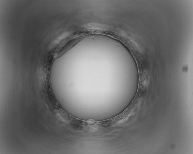 X0000116621157201001081226