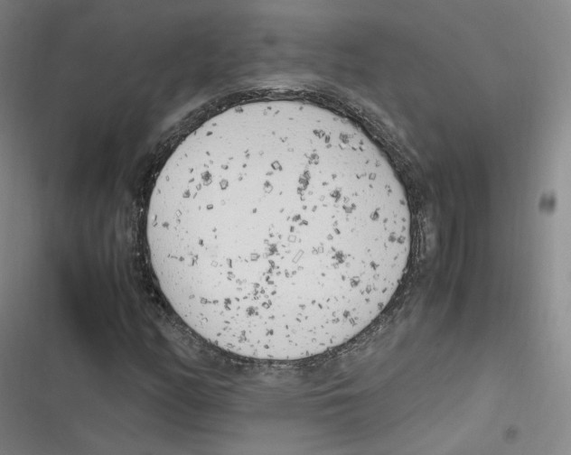 X0000116621158201001081226