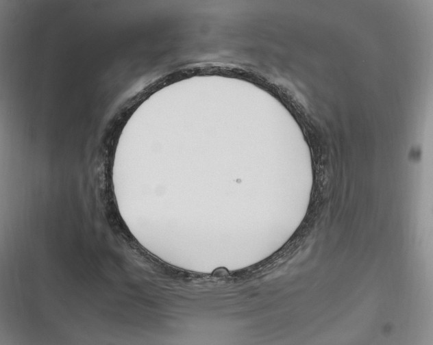 X0000116621159201001081226