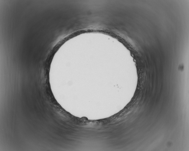 X0000116621160201001081225