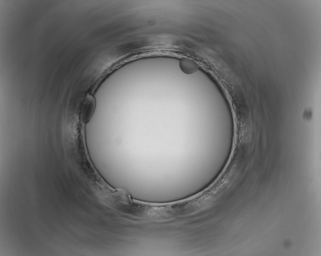 X0000116621161201001081225