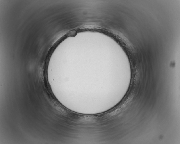 X0000116621162201001081225