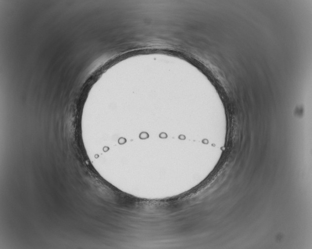 X0000116621163201001081225