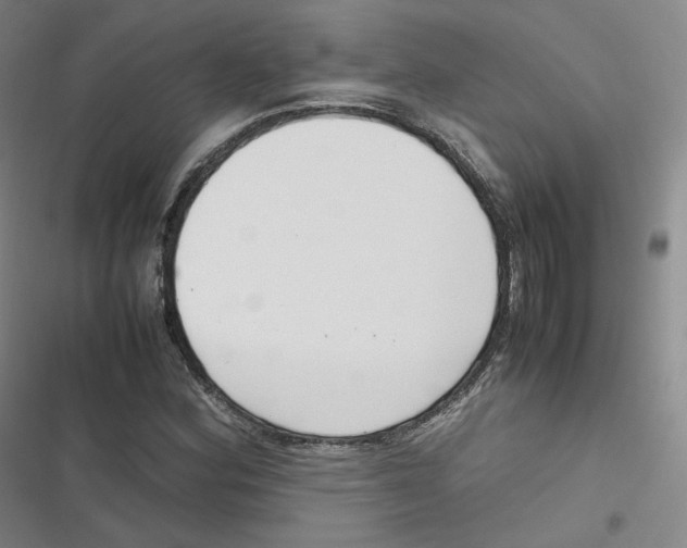 X0000116621164201001081225