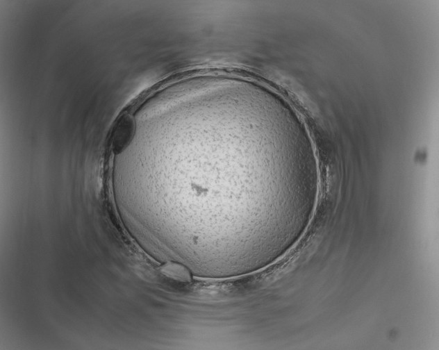 X0000116621165201001081225