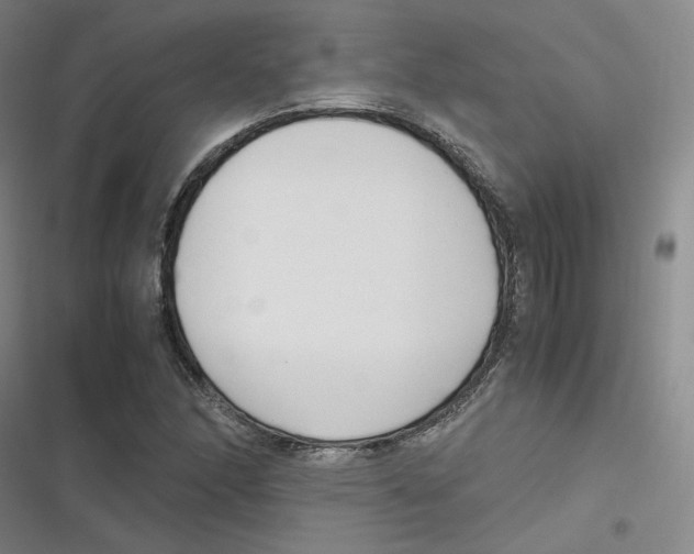 X0000116621166201001081225