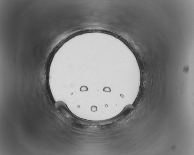 X0000116621167201001081225