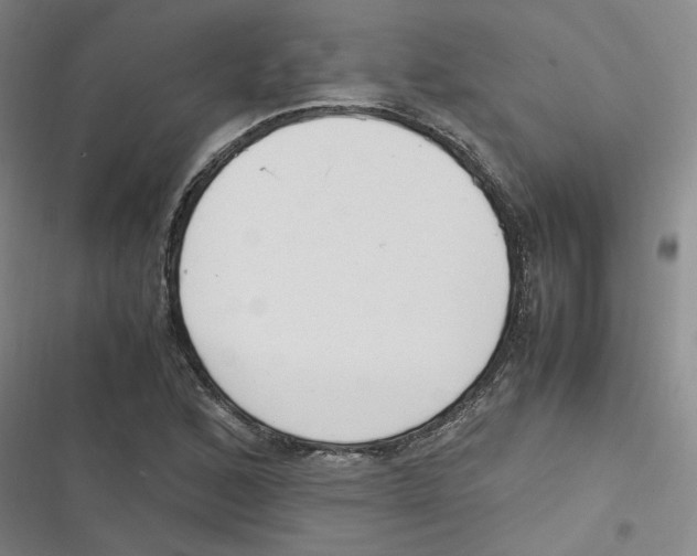 X0000116621168201001081225