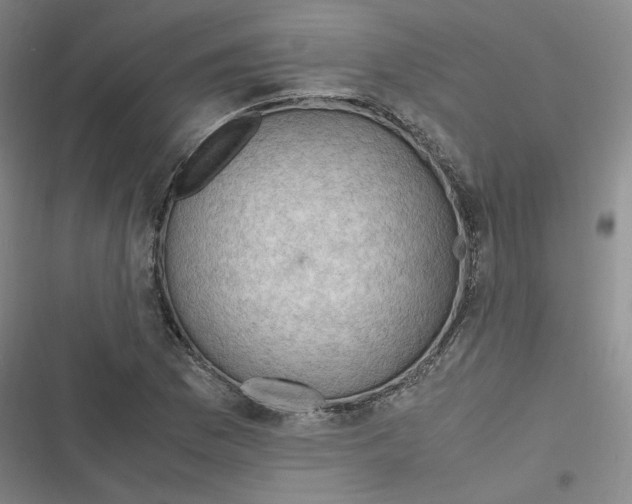 X0000116621169201001081225