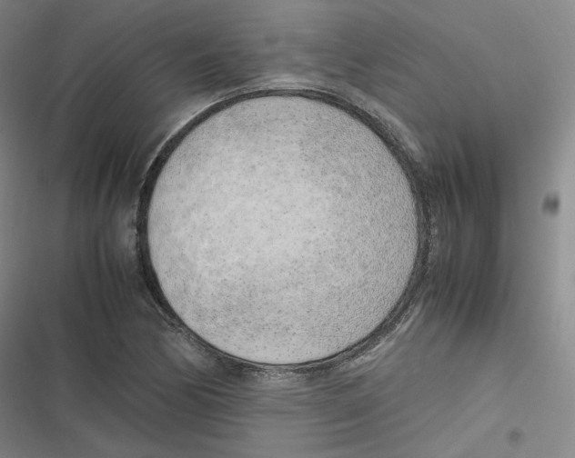 X0000116621170201001081225