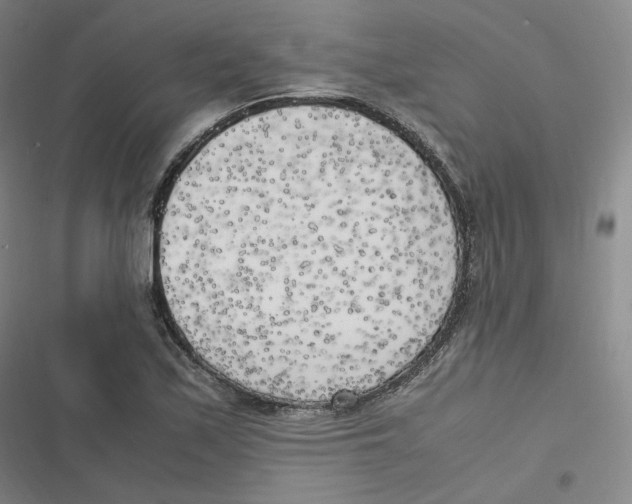 X0000116621171201001081225