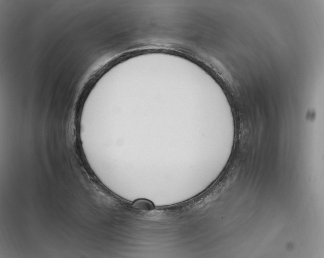 X0000116621172201001081225