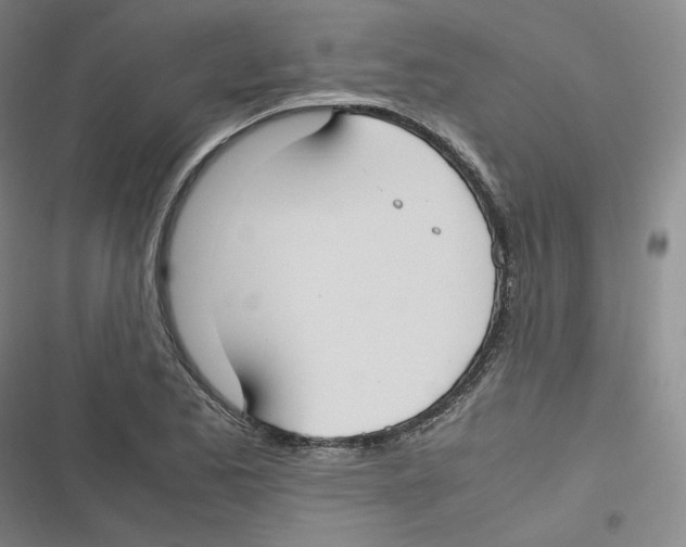 X0000116621173201001081225