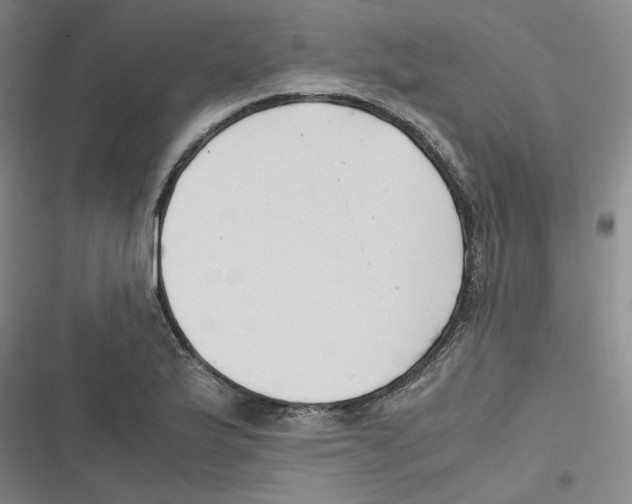 X0000116621175201001081225