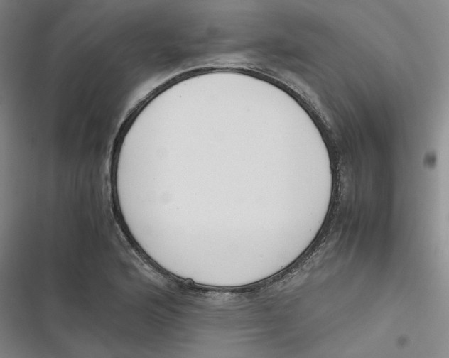 X0000116621176201001081225