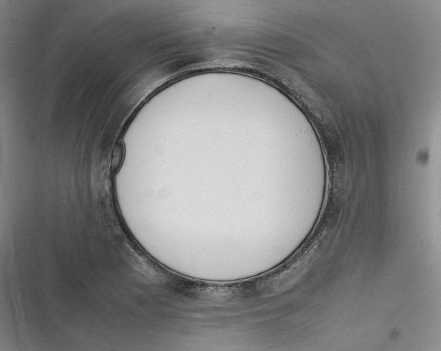 X0000116621177201001081225