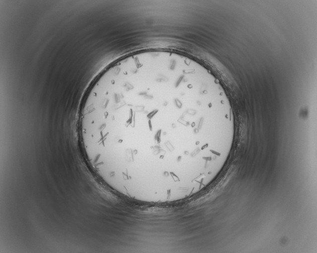 X0000116621178201001081225