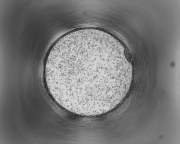 X0000116621179201001081225