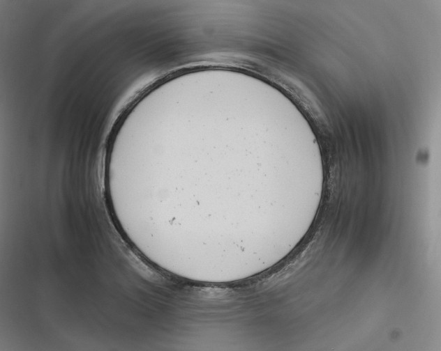 X0000116621180201001081225