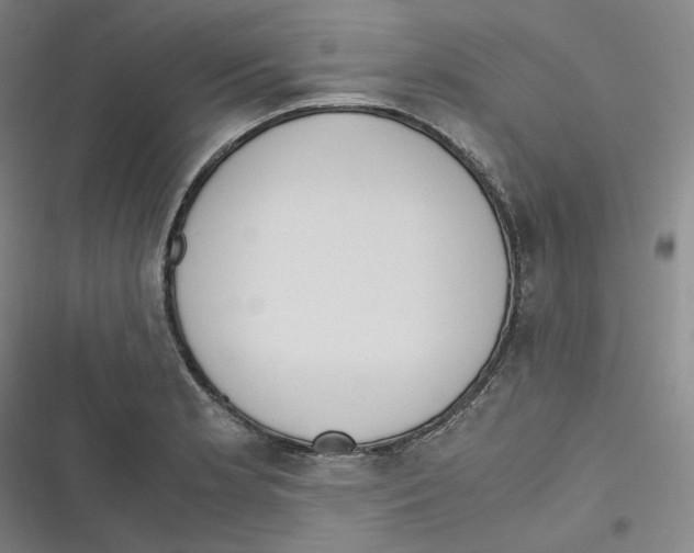 X0000116621181201001081225