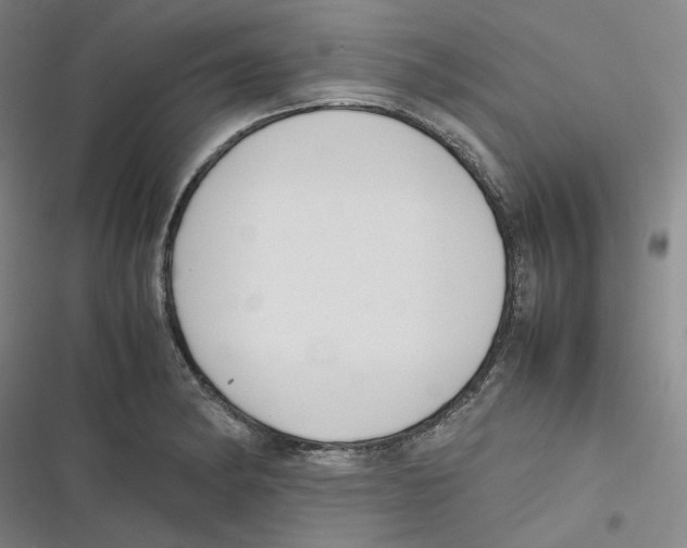 X0000116621182201001081225