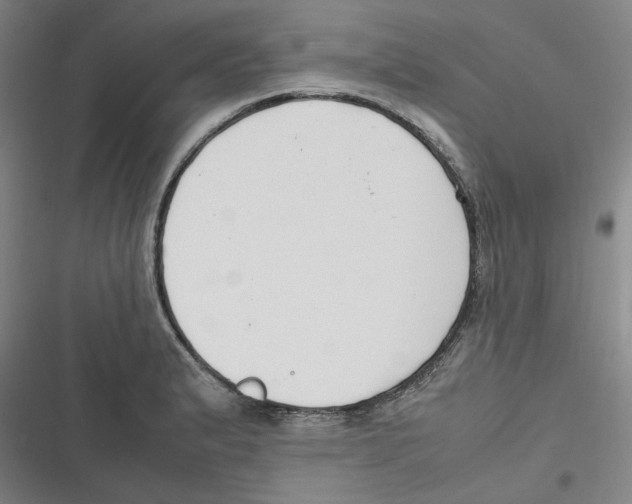 X0000116621183201001081225