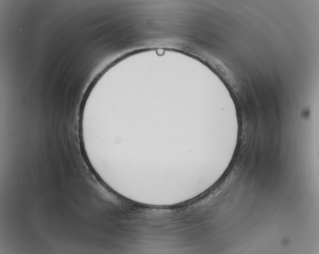 X0000116621184201001081225