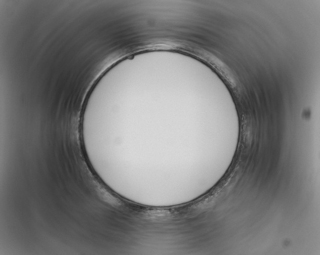 X0000116621186201001081225